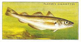 1935 Player's Sea Fishes #20 Whiting Front