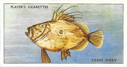 1935 Player's Sea Fishes #24 John Dory Front