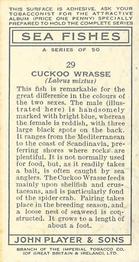 1935 Player's Sea Fishes #29 Cuckoo Wrasse Back