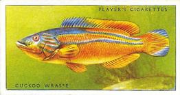 1935 Player's Sea Fishes #29 Cuckoo Wrasse Front
