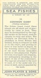 1935 Player's Sea Fishes #34 Common Goby Back