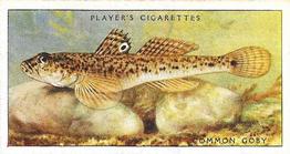 1935 Player's Sea Fishes #34 Common Goby Front