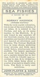 1935 Player's Sea Fishes #38 Norway Haddock Back
