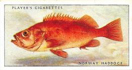 1935 Player's Sea Fishes #38 Norway Haddock Front