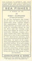 1935 Player's Sea Fishes #39 Grey Gurnard Back