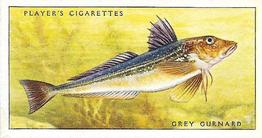 1935 Player's Sea Fishes #39 Grey Gurnard Front