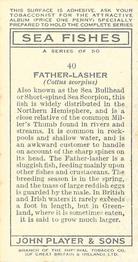 1935 Player's Sea Fishes #40 Father-Lasher Back