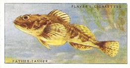 1935 Player's Sea Fishes #40 Father-Lasher Front