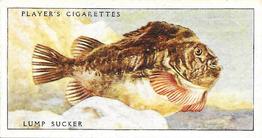 1935 Player's Sea Fishes #41 Lump Sucker Front