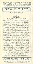 1935 Player's Sea Fishes #43 Brill Back