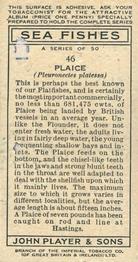 1935 Player's Sea Fishes #46 Plaice Back