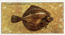 1935 Player's Sea Fishes #46 Plaice Front