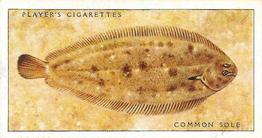 1935 Player's Sea Fishes #48 Common Sole Front