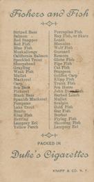 1888 Duke's Fishers and Fish (N74) #NNO Lamprey Eel Back