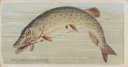 1888 Duke's Fishers and Fish (N74) #NNO Muskallonge Front