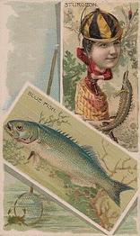 1888 W. Duke, Sons & Co. Fishes and Fishing (N108) #NNO Blue Fish / Sturgeon Front