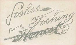1888 W. Duke, Sons & Co. Fishes and Fishing (N108) #NNO Bonito / Loach Back