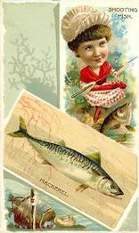 1888 W. Duke, Sons & Co. Fishes and Fishing (N108) #NNO Mackerel / Shooting Fish Front