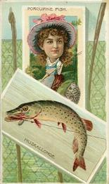1888 W. Duke, Sons & Co. Fishes and Fishing (N108) #NNO Muskallonge / Porcupine Fish Front