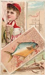 1888 W. Duke, Sons & Co. Fishes and Fishing (N108) #NNO Pompano / Flying Fish Front