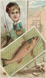 1888 W. Duke, Sons & Co. Fishes and Fishing (N108) #NNO Red Fish / Sculpin Front