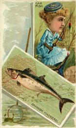 1888 W. Duke, Sons & Co. Fishes and Fishing (N108) #NNO Spanish Mackerel / Gar Fish Front