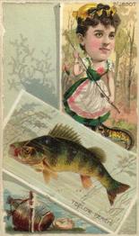 1888 W. Duke, Sons & Co. Fishes and Fishing (N108) #NNO Yellow Perch / Burbot Front