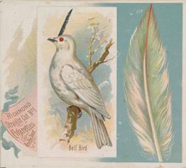 1890 Allen & Ginter Song Birds of the World (N42) #NNO Bell Bird Front