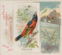 1890 Allen & Ginter Song Birds of the World (N42) #NNO Orchard Oriole Front