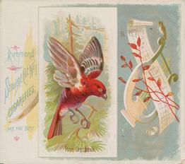 1890 Allen & Ginter Song Birds of the World (N42) #NNO Pine Grosbeak Front