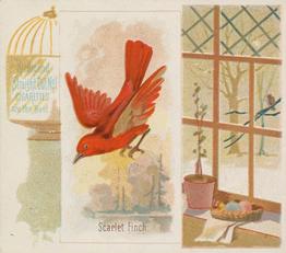 1890 Allen & Ginter Song Birds of the World (N42) #NNO Scarlet Finch Front
