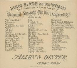 1890 Allen & Ginter Song Birds of the World (N42) #NNO Stich Bird Back