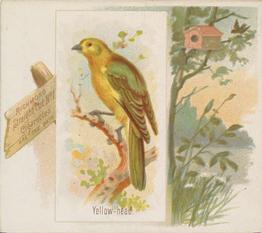 1890 Allen & Ginter Song Birds of the World (N42) #NNO Yellow-Head Front