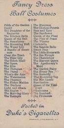 1889 W. Duke, Sons & Co. Fancy Dress Ball Costumes (N73) #NNO The Garden Fairy Back