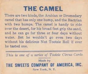 1933 Tootsie Circus (R152) #NNO The Camel Back