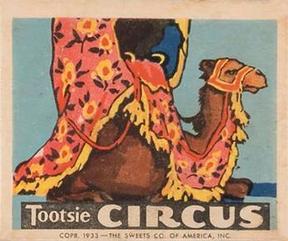 1933 Tootsie Circus (R152) #NNO The Camel Front