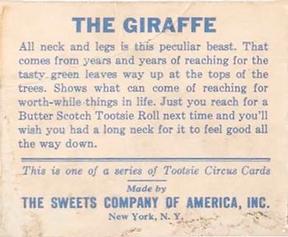 1933 Tootsie Circus (R152) #NNO The Giraffe Back