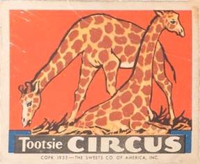 1933 Tootsie Circus (R152) #NNO The Giraffe Front