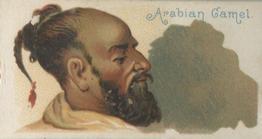 1889 W. Duke, Sons & Co. Shadows (N87) #NNO Arabian Camel Front