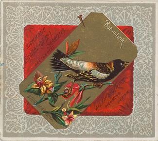 1890 Allen & Ginter Birds of America (N37) #NNO Bob-o-link Front