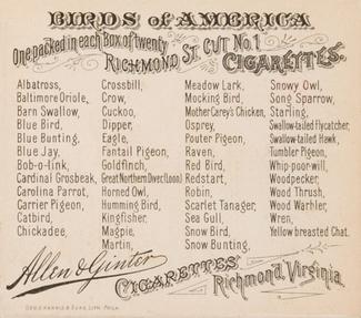 1890 Allen & Ginter Birds of America (N37) #NNO Snow Bird Back