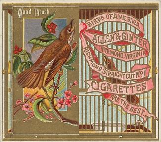 1890 Allen & Ginter Birds of America (N37) #NNO Wood Thrush Front