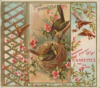 1890 Allen & Ginter Birds of America (N37) #NNO Yellow-breasted Chat Front