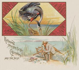 1890 Allen & Ginter Game Birds (N40) #NNO Great Blue Heron Front