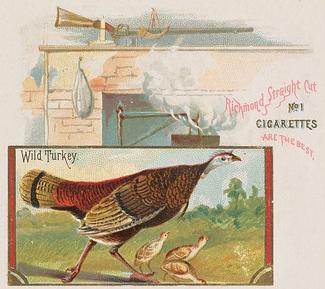 1890 Allen & Ginter Game Birds (N40) #NNO Wild Turkey Front