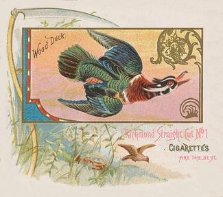 1890 Allen & Ginter Game Birds (N40) #NNO Wood Duck Front