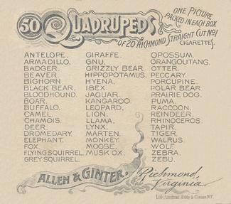 1890 Allen & Ginter Quadrupeds (N41) #NNO Bloodhound Back