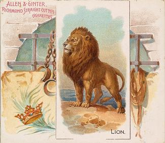 1890 Allen & Ginter Quadrupeds (N41) #NNO Lion Front