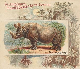 1890 Allen & Ginter Quadrupeds (N41) #NNO Rhinoceros Front