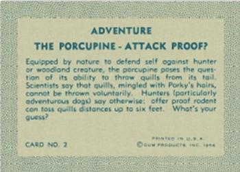 1956 Gum Inc. Adventure (R749) #2 The Porcupine - Attack Proof? Back